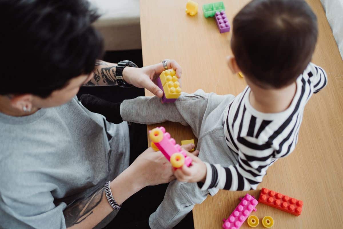 Set LEGO para adultos y niños