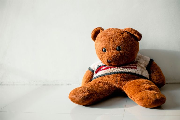 Peluche de oso para limpieza segura